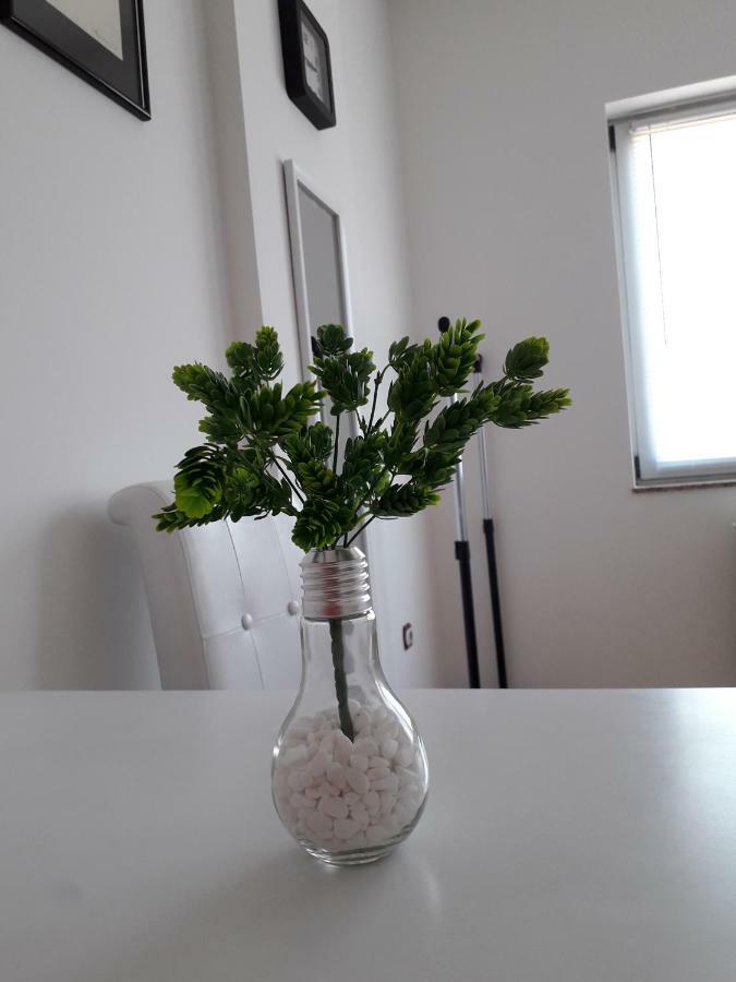 Apartman Dunja Ns 2 โนวีซาด ภายนอก รูปภาพ